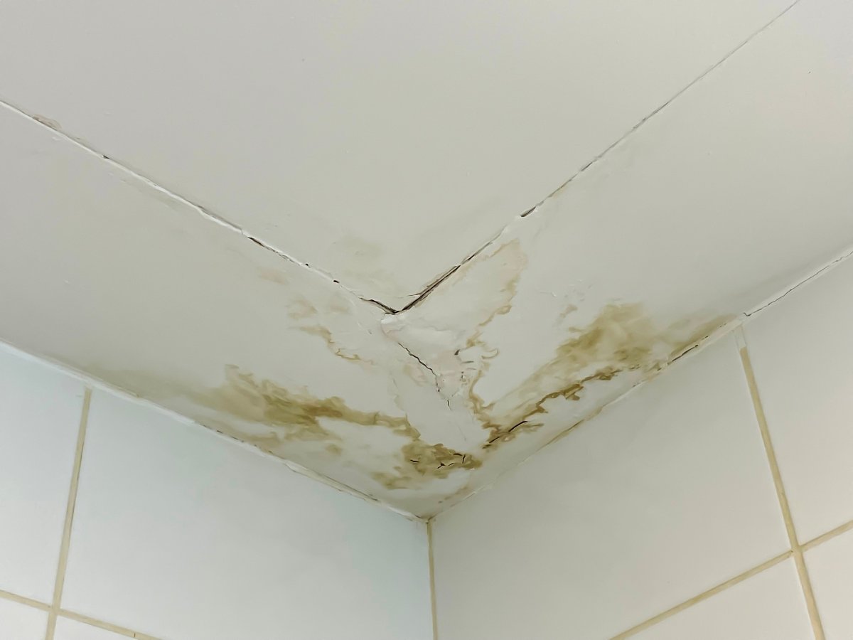 Ceiling-water-damage